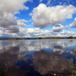 L'Oasi naturalistica del Lago di Candia